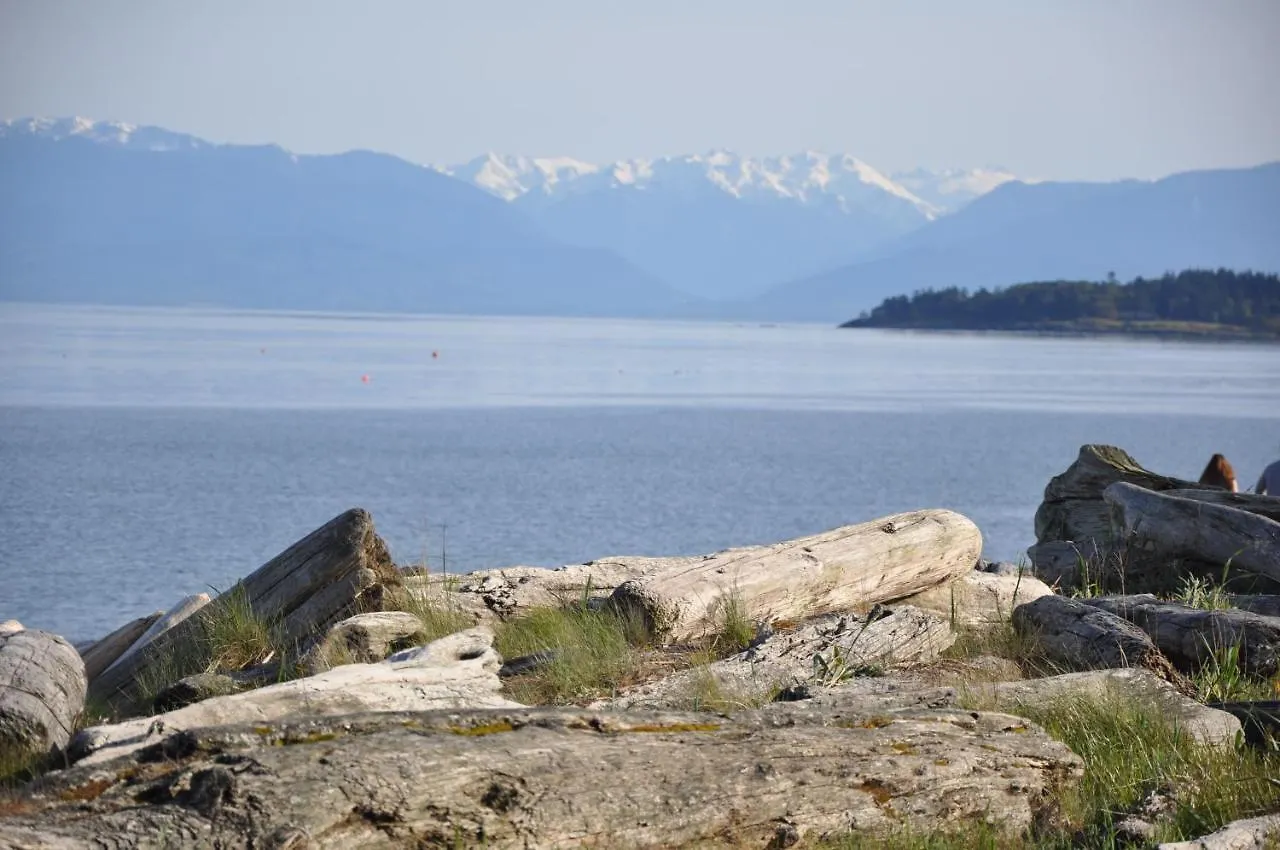 Colwood Birds Of A Feather Victoria Oceanfront Studio Suites