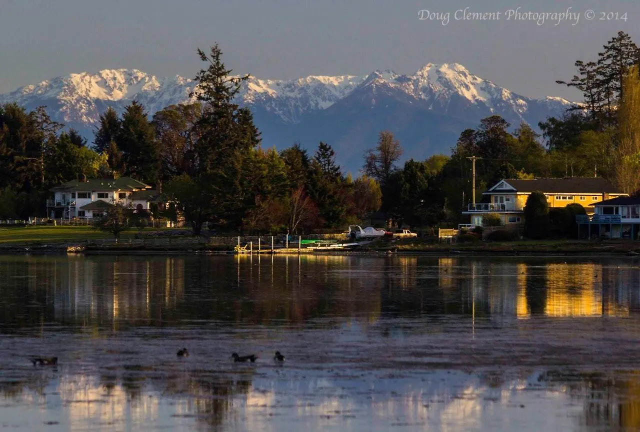 Colwood Birds Of A Feather Victoria Oceanfront Studio Suites